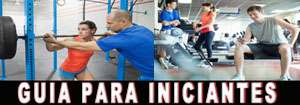 Guia para Iniciantes
