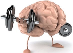 Memória Muscular, porque nos ajuda hoje e porque poderá nos ajudar no futuro?