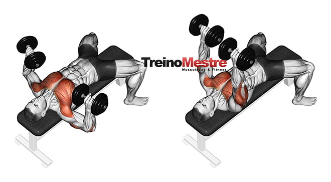 principais erros no treino de peito - supino com halteres