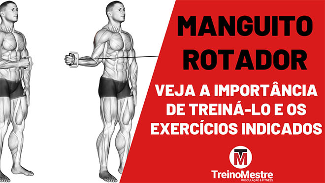 manguito rotador exercícios