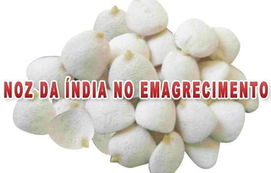 noz da india emagrece efeitos colaterais como usar www.arteefoto.com.br