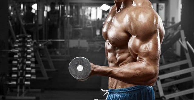 concentrar no musculo
