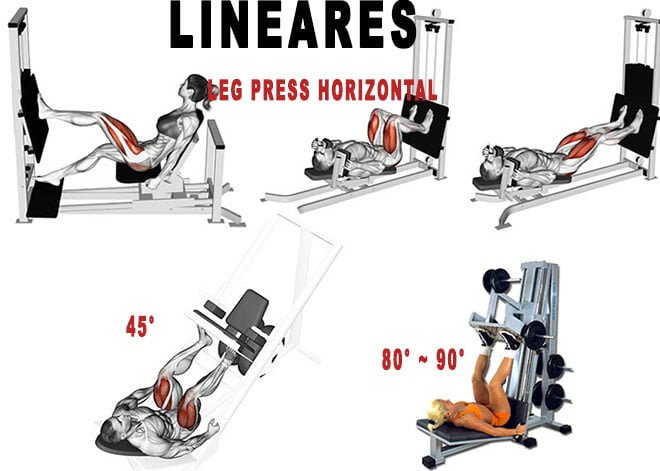 tipos leg press modelos variações lineares tipos leg press modelos variações lineares