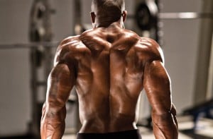 treino trapézio dicas melhores resultados treino trapézio dicas melhores resultados