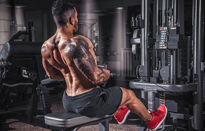 Divisão de treinamento na musculação Divisão de treinamento na musculação