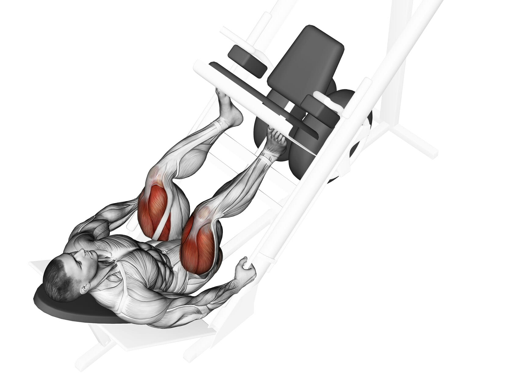 Principais Erros No Leg Press Treino Mestre