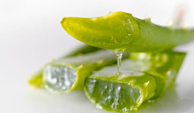lipo drink green labs funciona