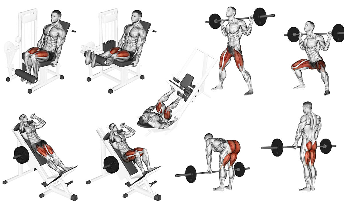 Treino De Coxas Para O Emagrecimento Exerc cios E Varia es 