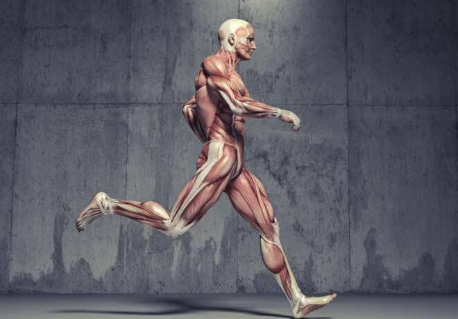 Fortalecimento de core para corredores Fortalecimento de core para corredores