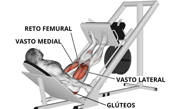 leg press musculos trabalhados solicitados