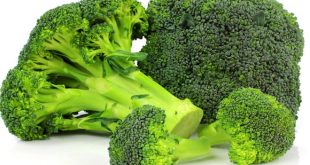 brocolis beneficios e receita