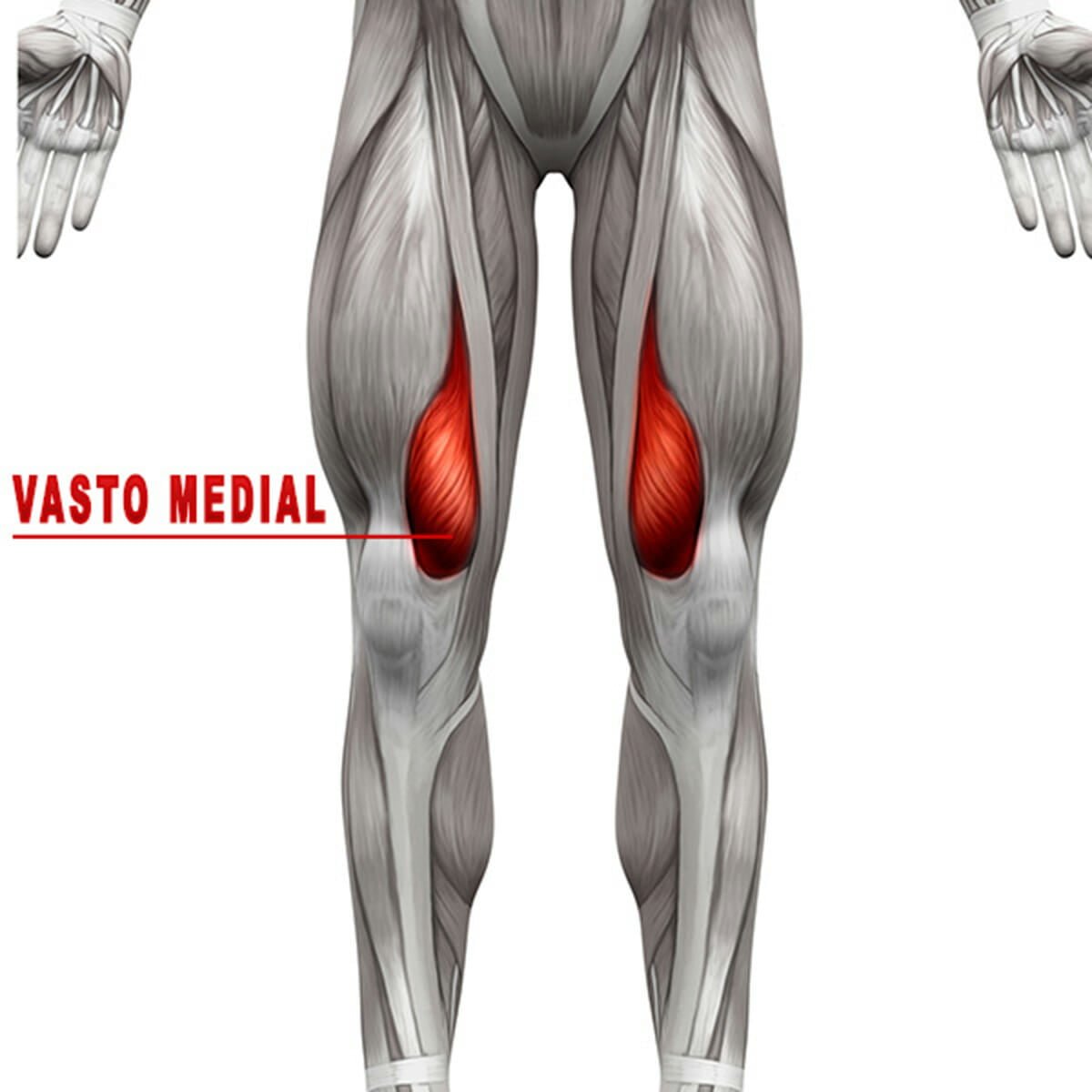 Fortalecer musculos do joelho