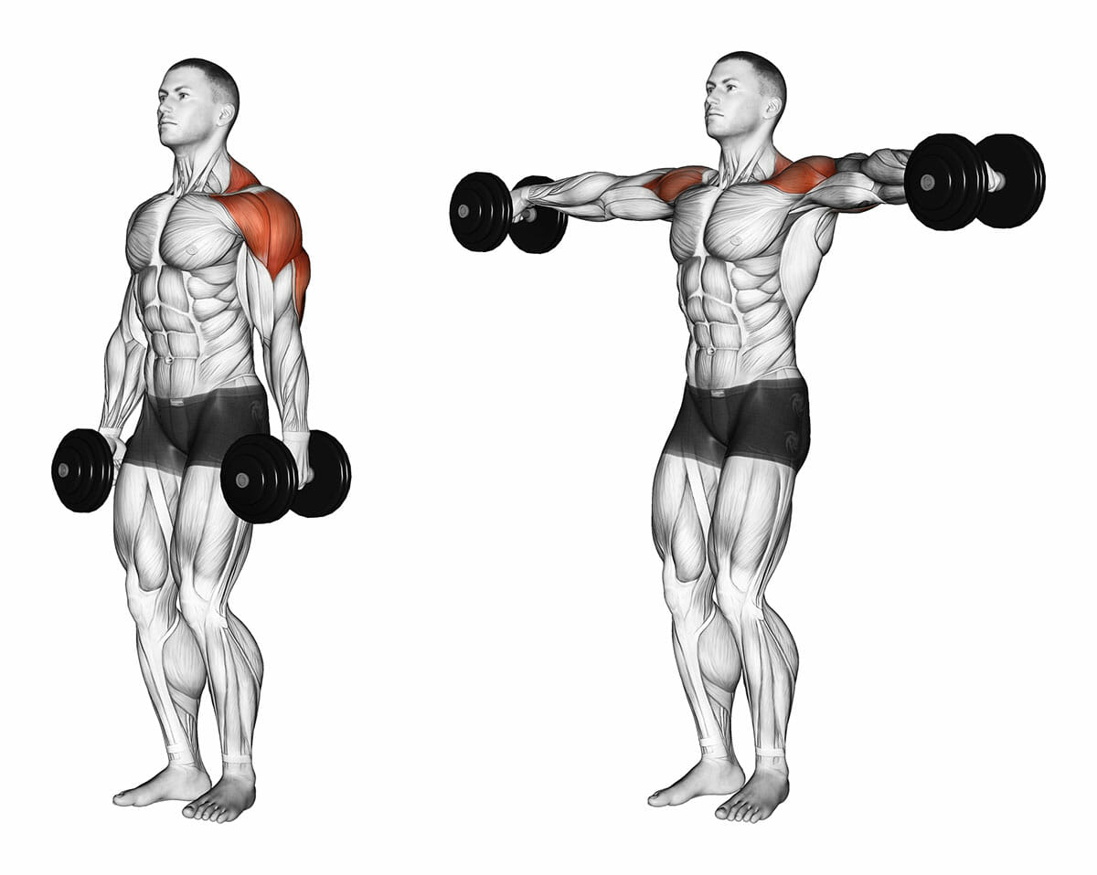 Ombros: como melhorar os resultados de seu treino de Ombros: como melhorar os resultados de seu treino de