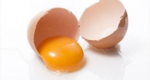 comer ou nao a gema do ovo