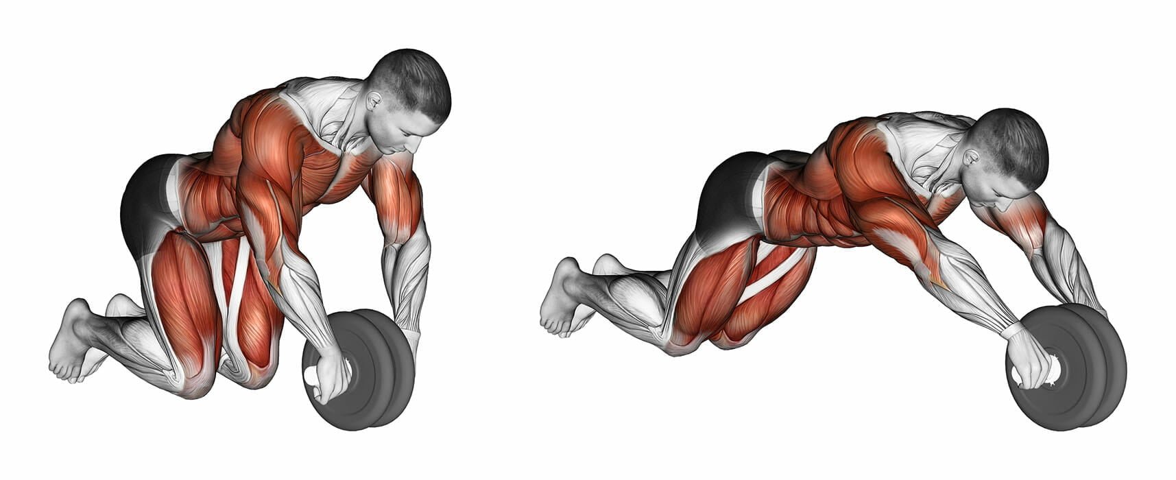 Resultado de imagem para roda abdominal